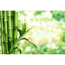 Lade das Bild in den Galerie-Viewer, Leinwandbild Bambus Stiele Querformat
