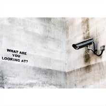 Lade das Bild in den Galerie-Viewer, Aluminiumbild gebürstet Banksy - What are you looking at Querformat
