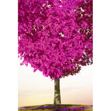 Lade das Bild in den Galerie-Viewer, Aluminiumbild Baum der Liebe Hochformat
