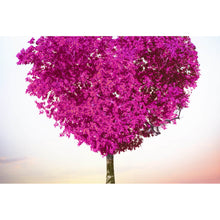 Lade das Bild in den Galerie-Viewer, Aluminiumbild gebürstet Baum der Liebe Querformat
