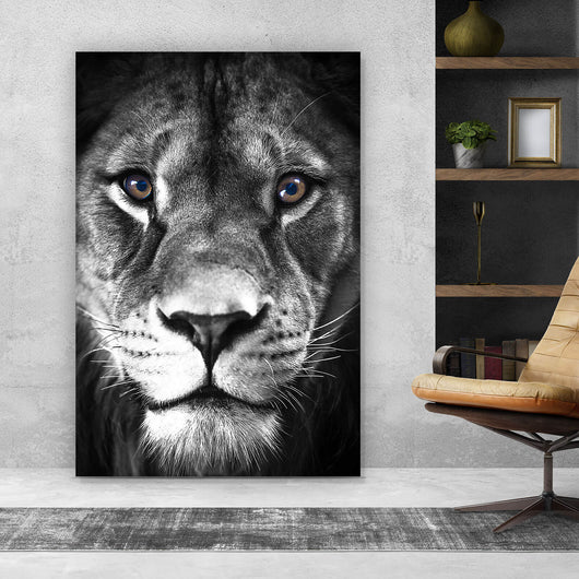 Aluminiumbild gebürstet Beautiful Lion Hochformat