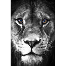 Lade das Bild in den Galerie-Viewer, Poster Beautiful Lion Hochformat
