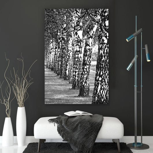 Aluminiumbild Birken Allee Schwarz-Weiß Hochformat