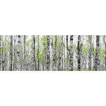 Lade das Bild in den Galerie-Viewer, Poster Birkenwald mit Laub Panorama
