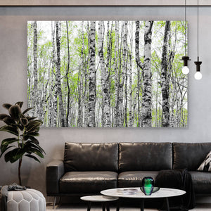 Aluminiumbild gebürstet Birkenwald mit Laub Querformat