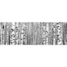 Lade das Bild in den Galerie-Viewer, Aluminiumbild gebürstet Birkenwald No.1 Panorama
