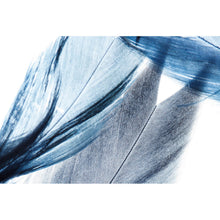 Lade das Bild in den Galerie-Viewer, Leinwandbild Blaue Federn auf weißem Hintergrund Querformat
