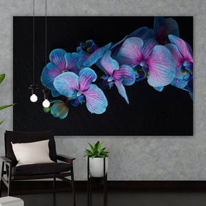 Aluminiumbild Blaue Orchidee auf schwarzem Hintergrund Querformat