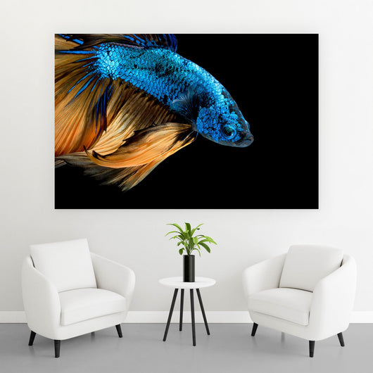 Aluminiumbild gebürstet Blauer Fisch Auf Schwarz Querformat