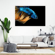 Lade das Bild in den Galerie-Viewer, Aluminiumbild gebürstet Blauer Fisch Auf Schwarz Querformat
