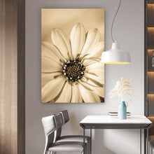 Lade das Bild in den Galerie-Viewer, Aluminiumbild gebürstet Blühende Gerbera in Sepia Hochformat
