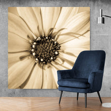 Lade das Bild in den Galerie-Viewer, Aluminiumbild gebürstet Blühende Gerbera in Sepia Quadrat
