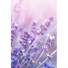 Lade das Bild in den Galerie-Viewer, Leinwandbild Blühender Lavendel Hochformat

