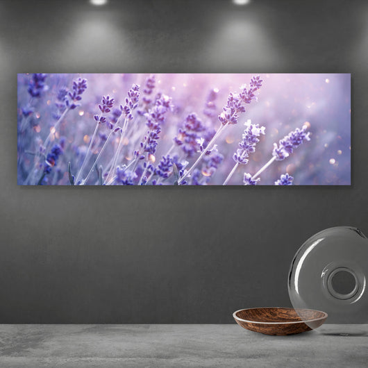 Leinwandbild Blühender Lavendel Panorama