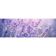 Lade das Bild in den Galerie-Viewer, Aluminiumbild gebürstet Blühender Lavendel Panorama
