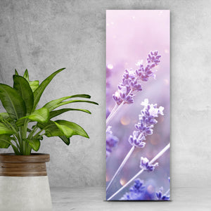 Acrylglasbild Blühender Lavendel Panorama Hoch