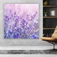 Lade das Bild in den Galerie-Viewer, Aluminiumbild gebürstet Blühender Lavendel Quadrat
