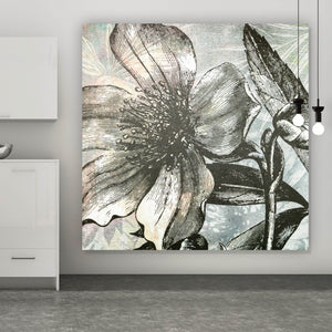 Aluminiumbild gebürstet Blüte in grau Tönen Quadrat