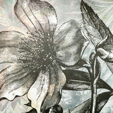 Lade das Bild in den Galerie-Viewer, Aluminiumbild gebürstet Blüte in grau Tönen Quadrat
