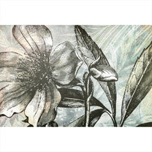 Lade das Bild in den Galerie-Viewer, Aluminiumbild Blüte in grau Tönen Querformat
