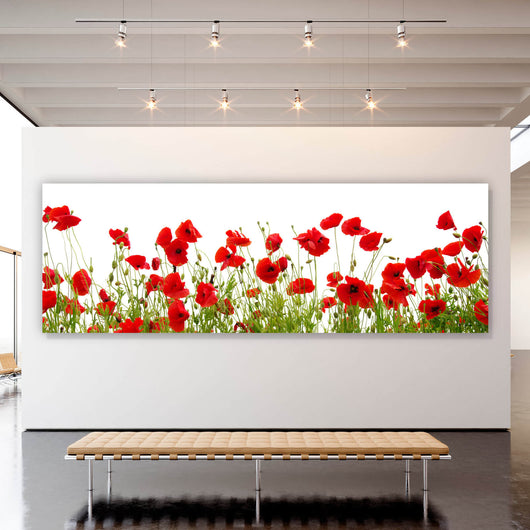 Aluminiumbild gebürstet Blumenwiese mit rotem Mohn Panorama