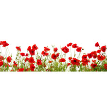 Lade das Bild in den Galerie-Viewer, Spannrahmenbild Blumenwiese mit rotem Mohn Panorama
