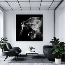 Lade das Bild in den Galerie-Viewer, Aluminiumbild gebürstet Brüllende Löwin Quadrat
