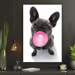 Acrylglasbild Bubble Bulldogge Hochformat