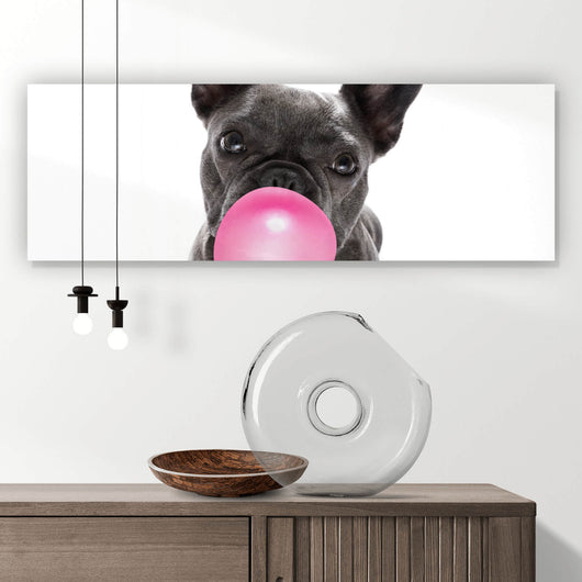 Acrylglasbild Bubble Bulldogge Panorama