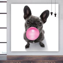 Lade das Bild in den Galerie-Viewer, Spannrahmenbild Bubble Bulldogge Quadrat

