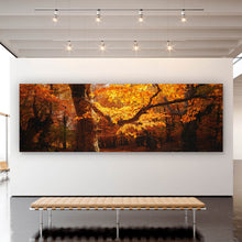 Lade das Bild in den Galerie-Viewer, Acrylglasbild Buche im Herbst No.1 Panorama
