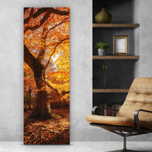 Lade das Bild in den Galerie-Viewer, Spannrahmenbild Buche im Herbst No.1 Panorama Hoch
