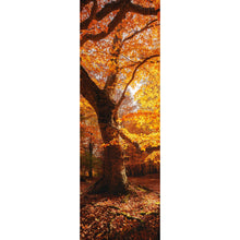 Lade das Bild in den Galerie-Viewer, Aluminiumbild Buche im Herbst No.1 Panorama Hoch
