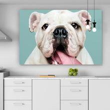 Lade das Bild in den Galerie-Viewer, Aluminiumbild gebürstet Bulldoggen Welpe Querformat
