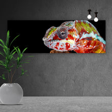 Lade das Bild in den Galerie-Viewer, Aluminiumbild gebürstet Chamäleon auf schwarzem Hintergrund Panorama
