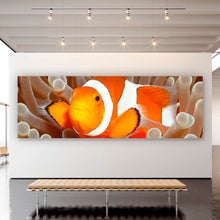 Lade das Bild in den Galerie-Viewer, Spannrahmenbild Clown-Anemonenfisch Panorama
