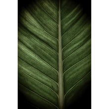 Lade das Bild in den Galerie-Viewer, Aluminiumbild Dark Leaf Hochformat
