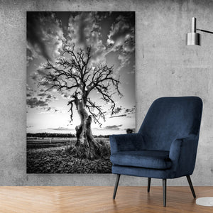 Acrylglasbild Der Einsame Baum Hochformat