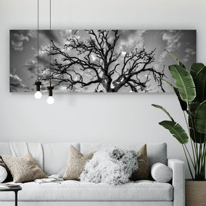 Acrylglasbild Der Einsame Baum Panorama