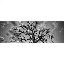 Lade das Bild in den Galerie-Viewer, Acrylglasbild Der Einsame Baum Panorama
