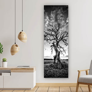 Acrylglasbild Der Einsame Baum Panorama Hoch