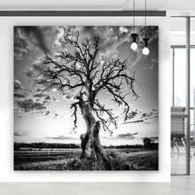 Lade das Bild in den Galerie-Viewer, Spannrahmenbild Der Einsame Baum Quadrat
