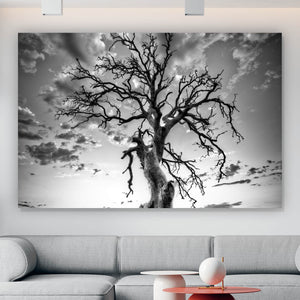 Aluminiumbild Der Einsame Baum Querformat