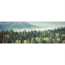 Lade das Bild in den Galerie-Viewer, Spannrahmenbild Dichter Nadelwald im Nebel Panorama

