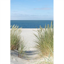 Lade das Bild in den Galerie-Viewer, Aluminiumbild Dünen an der Nordsee Hochformat
