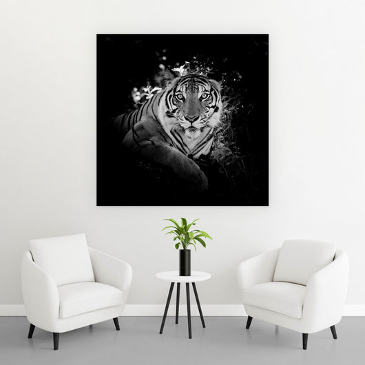 Acrylglasbild Dunkler Tiger Quadrat