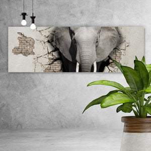 Spannrahmenbild Elefant kommt aus der Wand Panorama