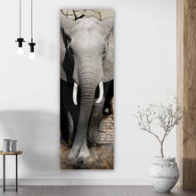 Lade das Bild in den Galerie-Viewer, Aluminiumbild gebürstet Elefant kommt aus der Wand Panorama Hoch
