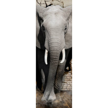 Lade das Bild in den Galerie-Viewer, Acrylglasbild Elefant kommt aus der Wand Panorama Hoch

