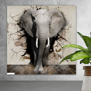 Spannrahmenbild Elefant kommt aus der Wand Quadrat